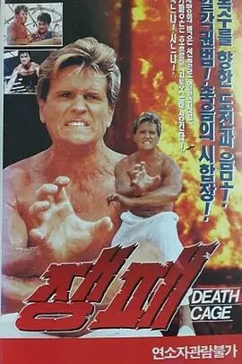 《搏击英雄》影评:拳拳到肉,燃爆肾上腺!动作片爱好者的必看之选!